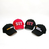 Promotional Sport Hat ,Custom Baseball Cap, Embroidery Sport Caps