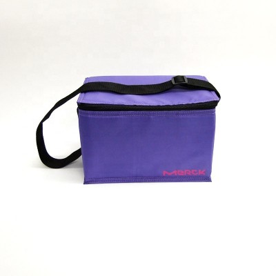 OEM Factory Lunch bag Wholesale Outdoor Picnic Thermal Insulated Shoulder Cooler Bag